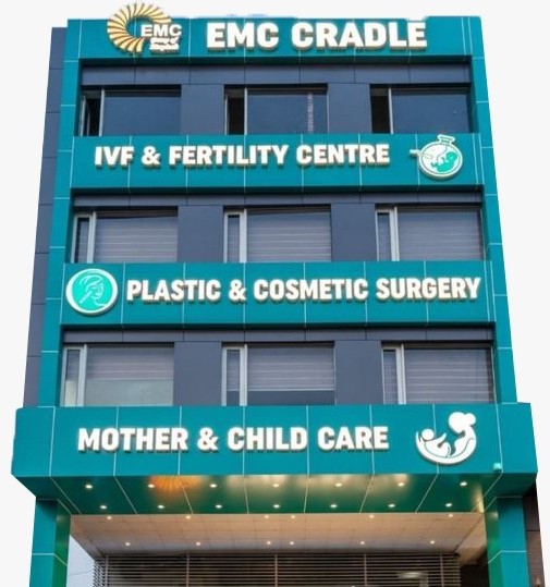 emc cradle